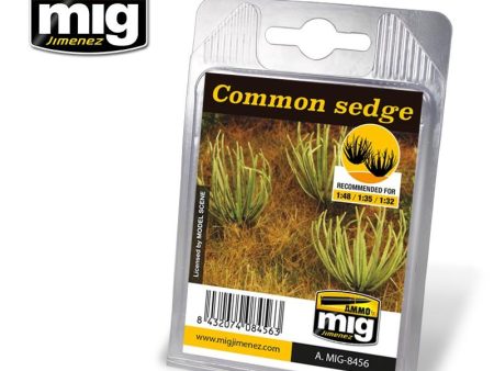 Ammo by MIG Dioramas - Laser Cut Plants - Common Sedge Online