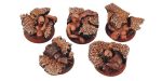 SF Shambles 25 mm round bases (5) Fashion