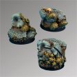 Ancient Ruins 25 mm round bases set1 (3) Online now